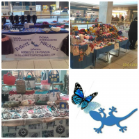 /album/galleria-fotografica/a2016-25-1-20-45-10-png/